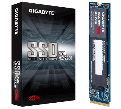 Gigabyte 256GB M.2 2280 PCIe 3.0 x4 NVMe (1700/1100 MB/s)