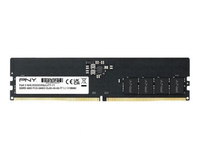 PNY 8GB DDR5 4800MHz ECC MD8GSD54800-TB 